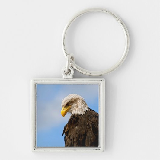 Vogel von Pray Bald Eagle Schlüsselanhänger (Vorne)
