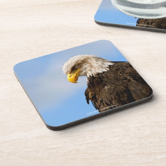 Vogel von Pray Bald Eagle Untersetzer (Linke Seite)