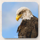 Vogel von Pray Bald Eagle Untersetzer (Vorderseite)