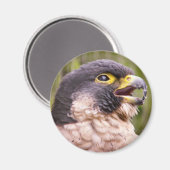 Vogel von Prey Magnet (Vorderseite/Rückseite)