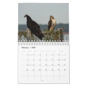 Vögel von Raubtieren - Zwei Seiten kleiner Kalende Kalender (Feb 2026)