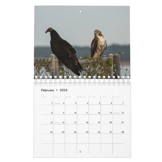 Vögel von Raubtieren - Zwei Seiten kleiner Kalende Kalender (Feb 2026)