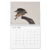 Vögel von Raubtieren - Zwei Seiten kleiner Kalende Kalender (Jan 2026)