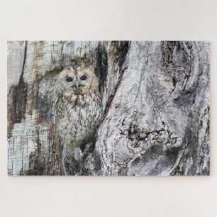 Vogel von Raubvögeln in der Camouflage Puzzle
