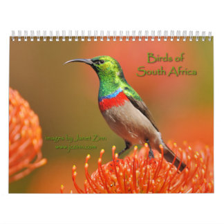 Vögel von Südafrika-Kalender Kalender