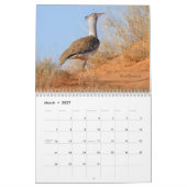 Vögel von Südafrika-Kalender Kalender (Mär 2027)