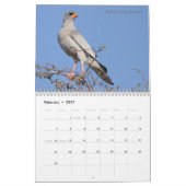 Vögel von Südafrika-Kalender Kalender (Feb 2027)