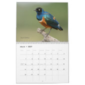 Vögel von Tansania-Kalender Kalender (Mär 2027)