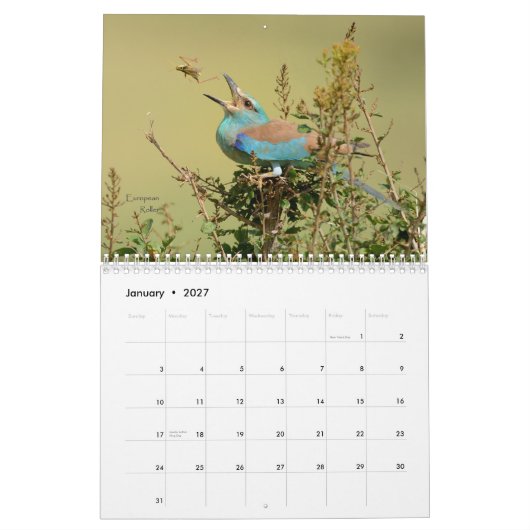 Vögel von Tansania-Kalender Kalender (Jan 2027)
