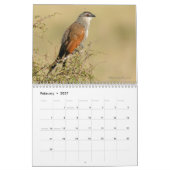 Vögel von Tansania-Kalender Kalender (Feb 2027)