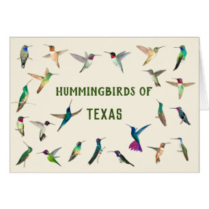 Vögel von Texas