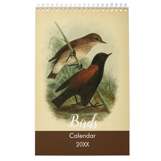 Vögel von Tierra Del Fuego Kalender (Titelbild)