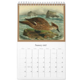 Vögel von Tierra Del Fuego Kalender (Jan 2027)