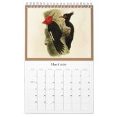 Vögel von Tierra Del Fuego Kalender (Mär 2026)