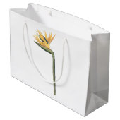 Vogel-vonparadies (Strelitzia reginae) durch Große Geschenktüte (Rückseite Schrägansicht)