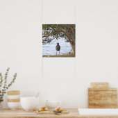 Vogel Wartend Foto Poster (Küche)
