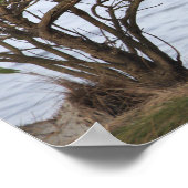 Vogel Wartend Foto Poster (Ecke)