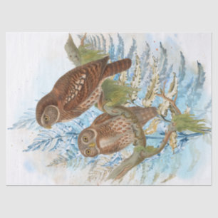 Vögel Wasserfarben Kunst Seidenpapier