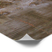 Vogel-Wasserlandschaft-Foto-Poster Poster (Ecke)