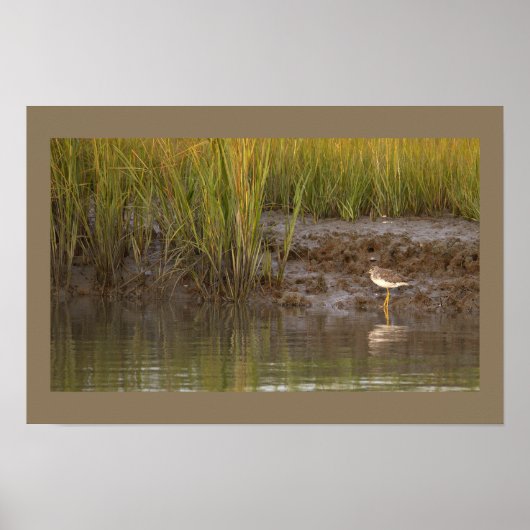 Vogel-Wasserlandschaft-Foto-Poster Poster (Vorne)