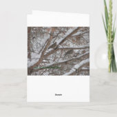 Vogel-Weihnachtsschutz Feiertagskarte (Rückseite)