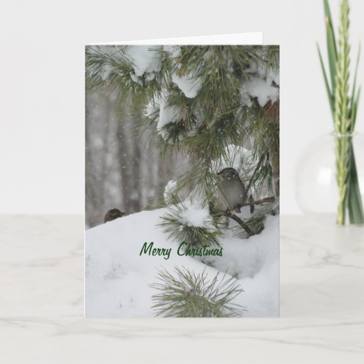 Vogel-Weihnachtsschutz Feiertagskarte (Vorderseite)