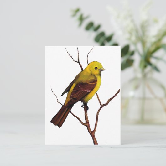 Vögel: Western Tanager: Originalität Postkarte (Stehend Vorderseite)