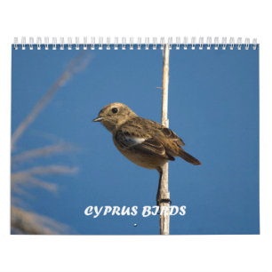Vögel Zyperns Kalender