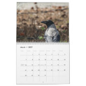 Vögel Zyperns Kalender (Mär 2027)