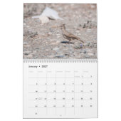 Vögel Zyperns Kalender (Jan 2027)