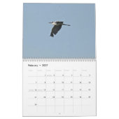 Vögel Zyperns Kalender (Feb 2027)