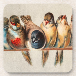 Vogelart und Taube Getränkeuntersetzer