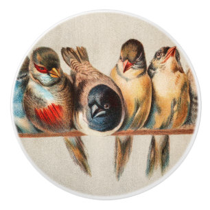 Vogelart und Taube Keramikknauf