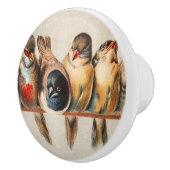 Vogelart und Taube Keramikknauf (Rechts)