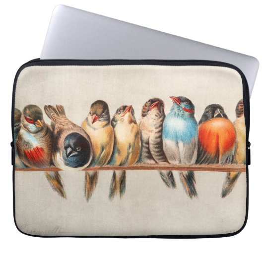 Vogelart und Taube Laptopschutzhülle (Vorderseite)