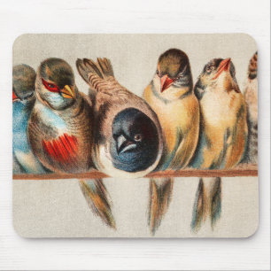 Vogelart und Taube Mousepad