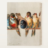 Vogelart und Taube Planer (Rückseite)