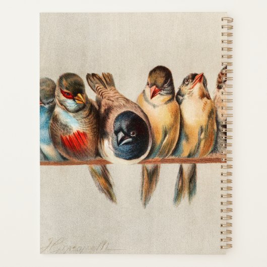 Vogelart und Taube Planer (Rückseite)