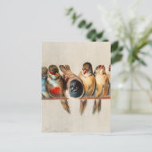 Vogelart und Taube Postkarte (Stehend Vorderseite)