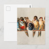 Vogelart und Taube Postkarte (Vorne/Hinten)