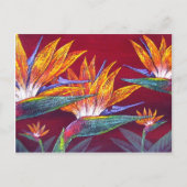 Vogelarten der tropischen Blume des Paradieses - m Postkarte (Vorderseite)