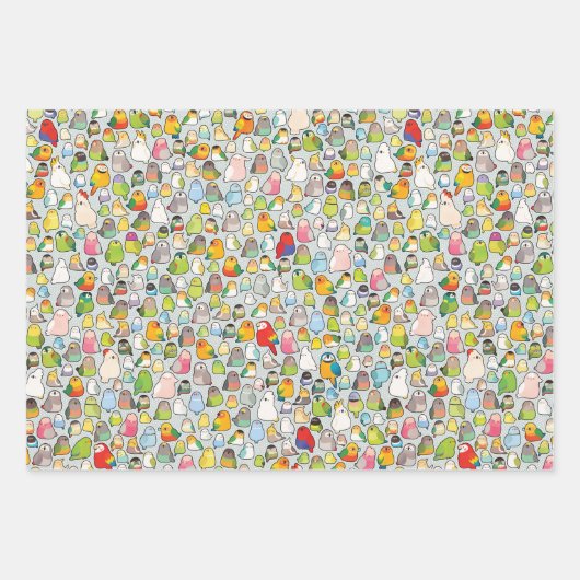 Vogelarten Geschenkpapier Set (Vorderseite 3)