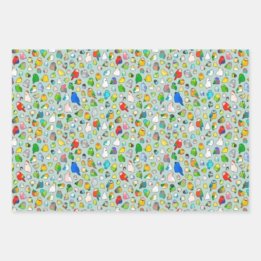 Vogelarten Geschenkpapier Set (Vorderseite 2)