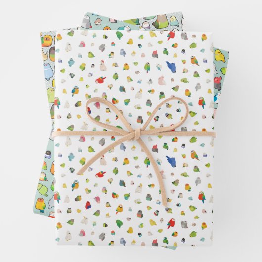Vogelarten Geschenkpapier Set (Beispiel)