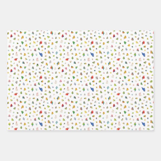 Vogelarten Geschenkpapier Set (Vorderseite)