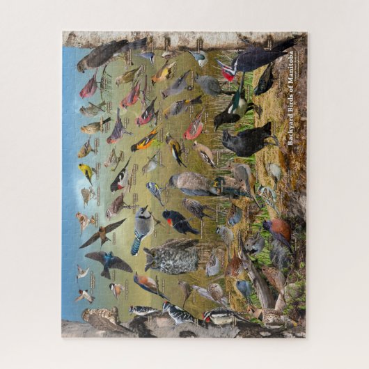 Vogelarten im Hinterhof von Manitoba Puzzle (Vertikal)