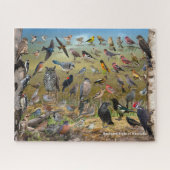Vogelarten im Hinterhof von Manitoba Puzzle (Horizontal)