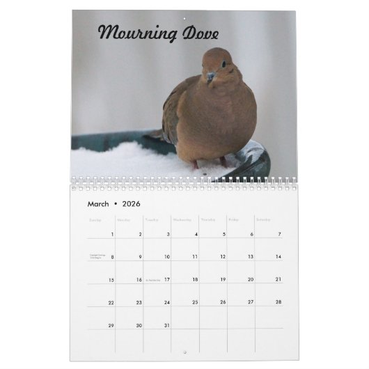 Vogelarten im Hinterhof von Missouri Kalender (Mär 2026)