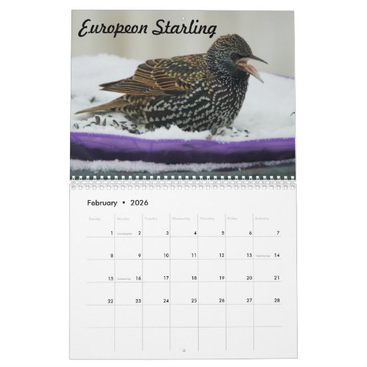 Vogelarten im Hinterhof von Missouri Kalender (Feb 2026)