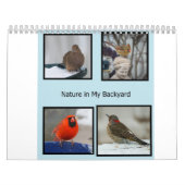 Vogelarten im Hinterhof von Missouri Kalender (Titelbild)